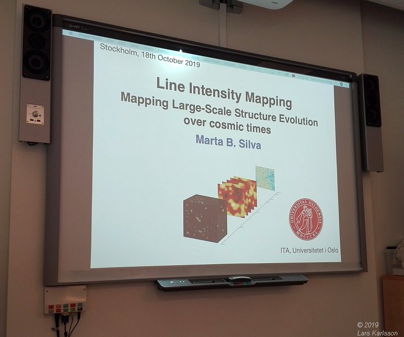 Seminar: Mapping Large-Scale Structure Evolution over cosmic times by Marta Silva, 2019