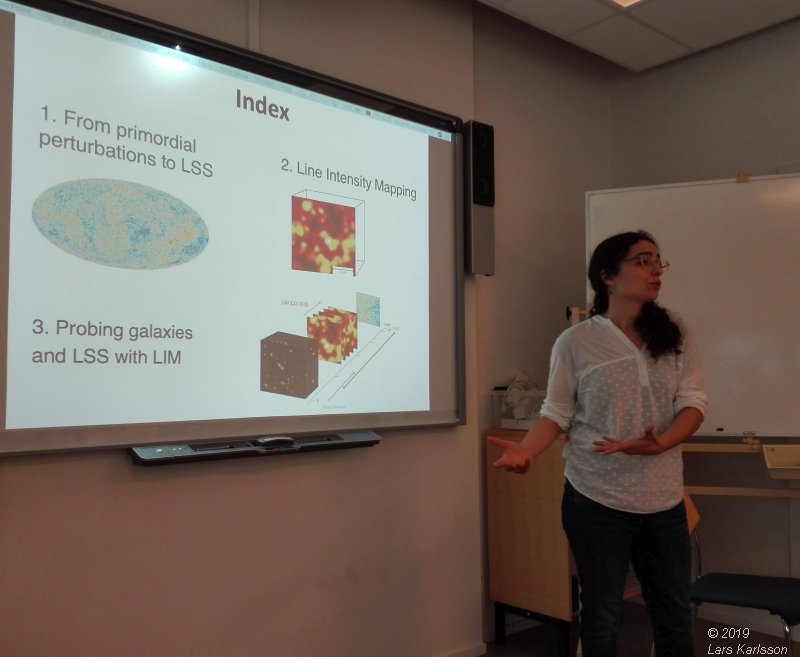 Seminar: Mapping Large-Scale Structure Evolution over cosmic times by Marta Silva, 2019