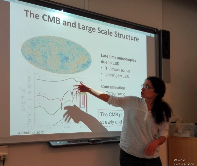 Seminar: Mapping Large-Scale Structure Evolution over cosmic times by Marta Silva, 2019