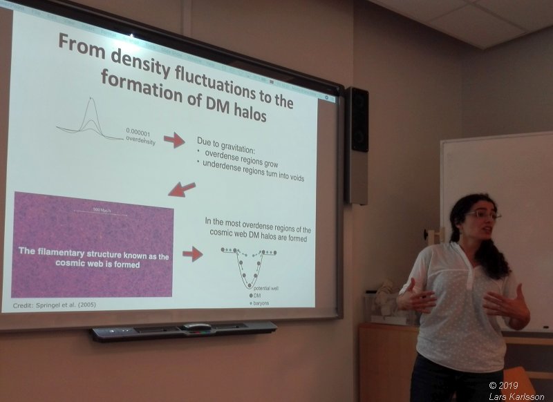 Seminar: Mapping Large-Scale Structure Evolution over cosmic times by Marta Silva, 2019