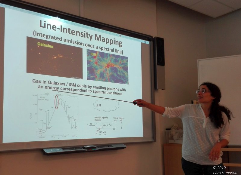 Seminar: Mapping Large-Scale Structure Evolution over cosmic times by Marta Silva, 2019