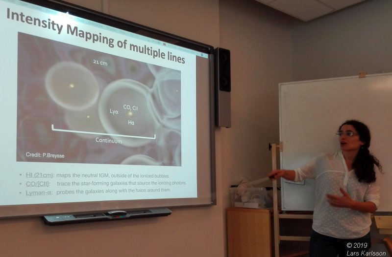 Seminar: Mapping Large-Scale Structure Evolution over cosmic times by Marta Silva, 2019