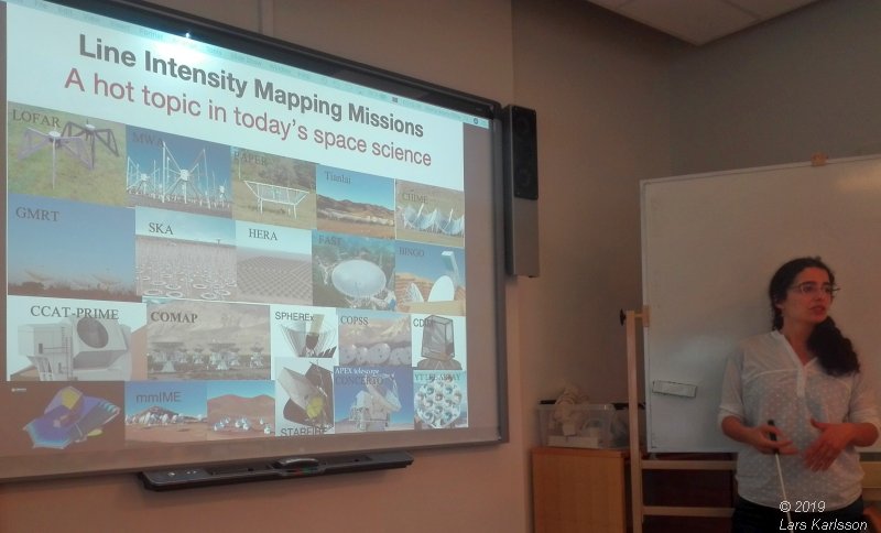 Seminar: Mapping Large-Scale Structure Evolution over cosmic times by Marta Silva, 2019