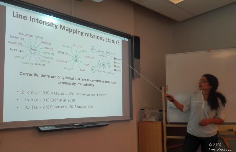 Seminar: Mapping Large-Scale Structure Evolution over cosmic times by Marta Silva, 2019