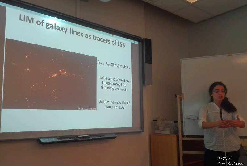 Seminar: Mapping Large-Scale Structure Evolution over cosmic times by Marta Silva, 2019