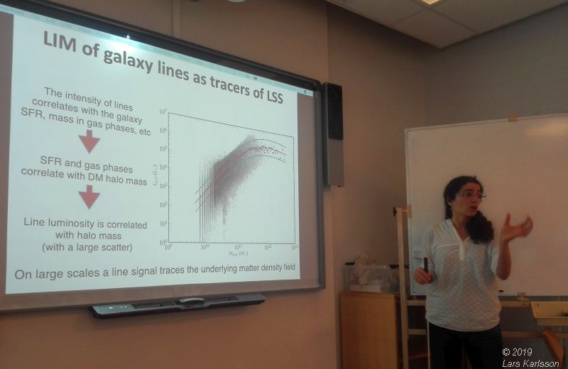 Seminar: Mapping Large-Scale Structure Evolution over cosmic times by Marta Silva, 2019