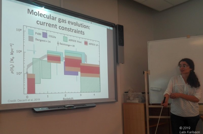 Seminar: Mapping Large-Scale Structure Evolution over cosmic times by Marta Silva, 2019