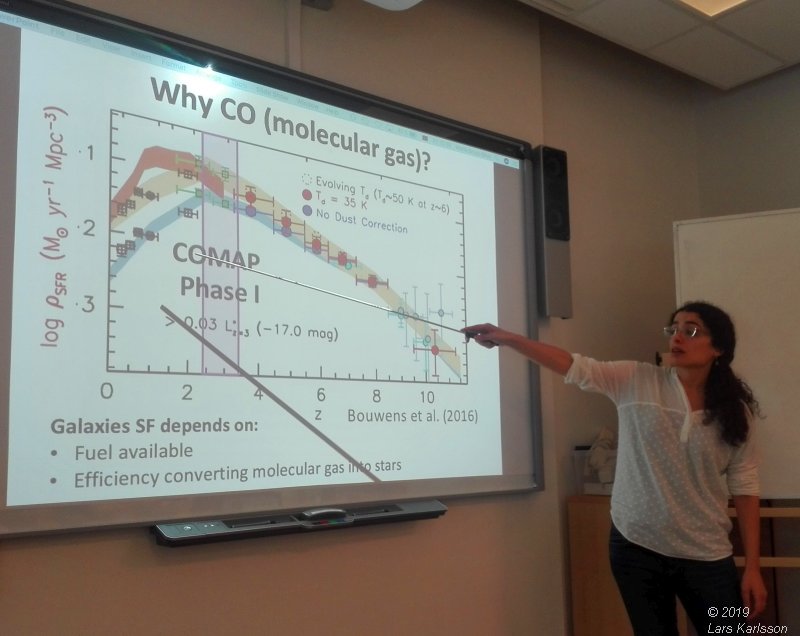 Seminar: Mapping Large-Scale Structure Evolution over cosmic times by Marta Silva, 2019