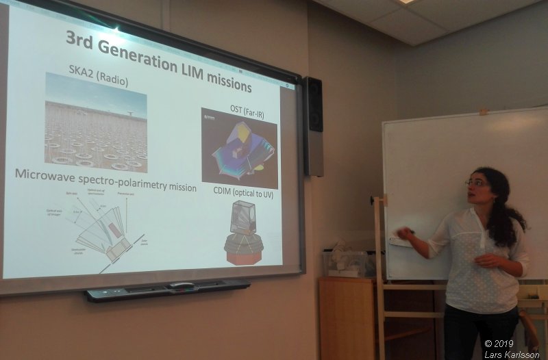 Seminar: Mapping Large-Scale Structure Evolution over cosmic times by Marta Silva, 2019