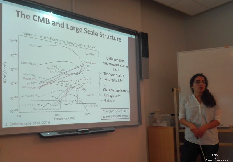 Seminar: Mapping Large-Scale Structure Evolution over cosmic times by Marta Silva, 2019