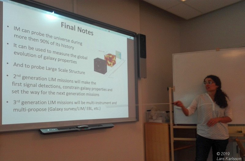 Seminar: Mapping Large-Scale Structure Evolution over cosmic times by Marta Silva, 2019