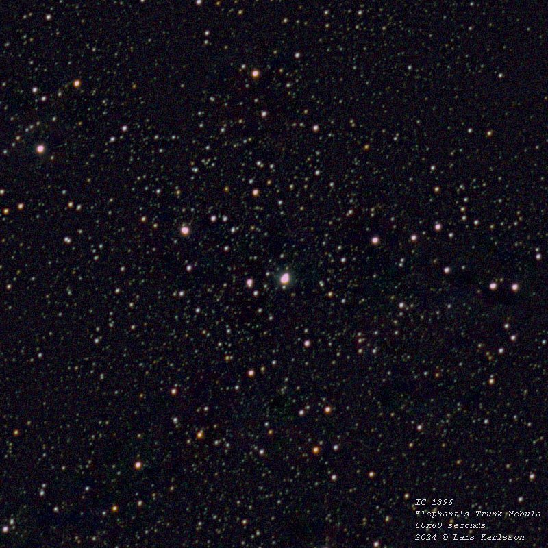 IC 1396 Elephant's Trunk nebula, 2024