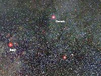 Cygnus, Constellation