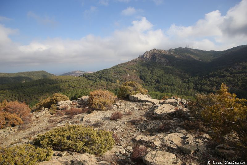 The Sardinia Observatory