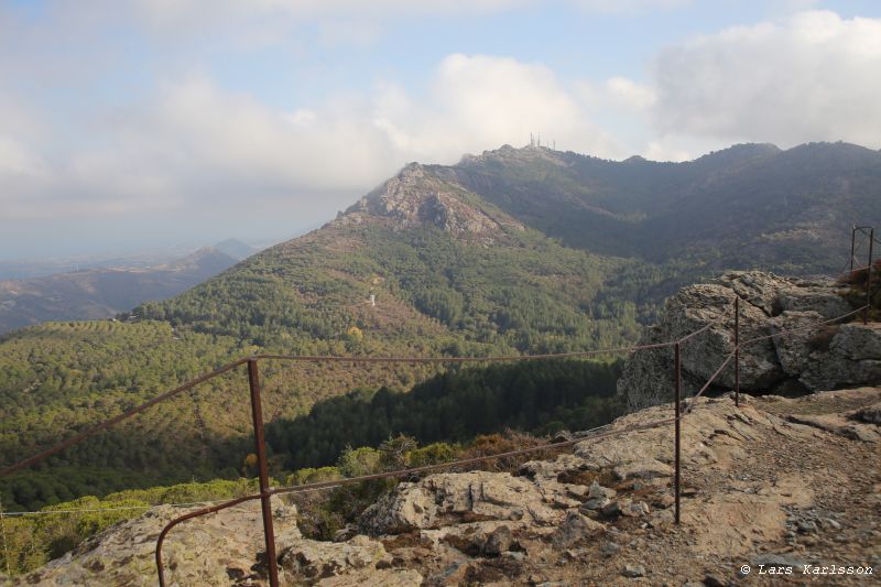 The Sardinia Observatory