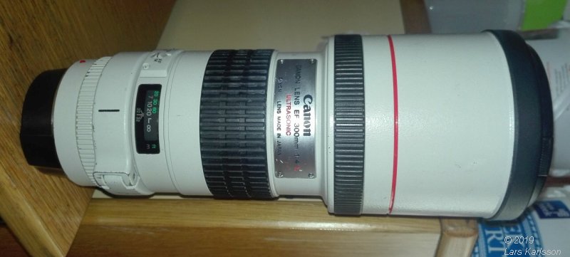 Canon 300 mm f/4 L lens