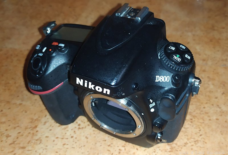 Nikon D800 for Astrophotography ?