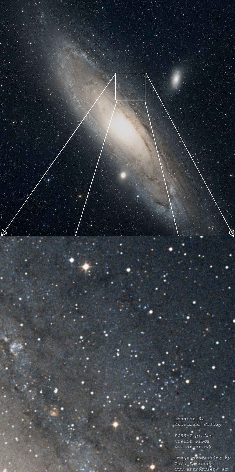 POSS-I: M31, Andromeda Galaxy