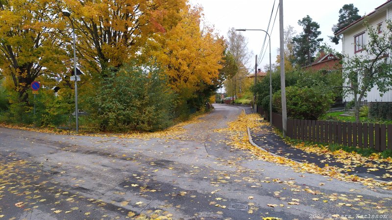 En guidad tur vid Långängens gård, Älvsjö 2023