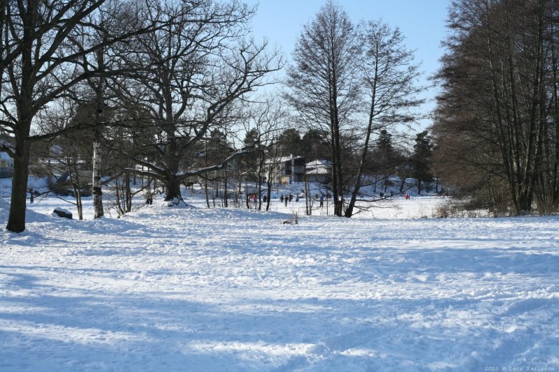 Långsjön vintern 2013 i Älvsjö