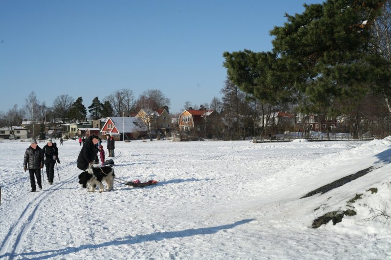 Långsjön vintern 2013 i Älvsjö