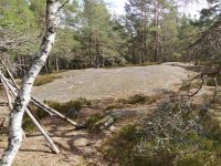 Älvsjöskogen, 2025