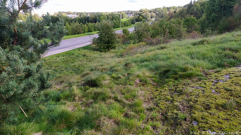 Skålgropar i hällristning vid Östbergavägen i Östberga