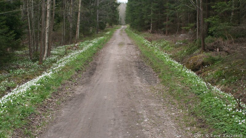 Walks and bicycling along the old road Göta Landsväg