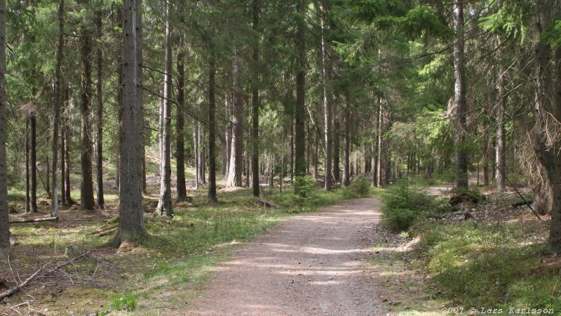 Walks and bicycling along the old road Göta Landsväg