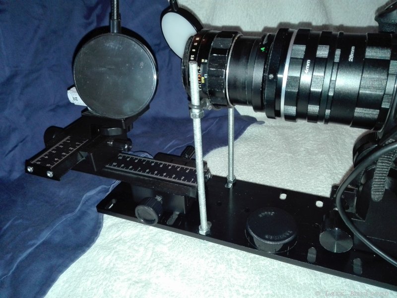Macro phtography with Pentax Suoer Takumar 55 mm f/1.8 lens