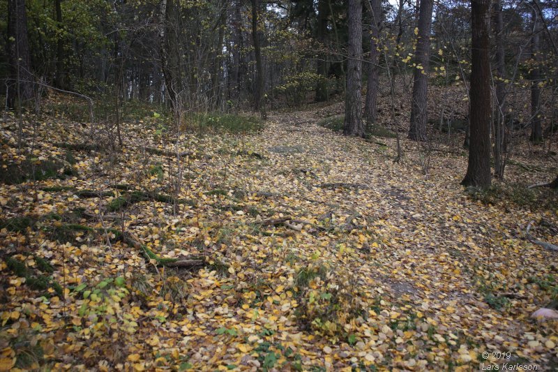 Fall in Hagsätra, 2019