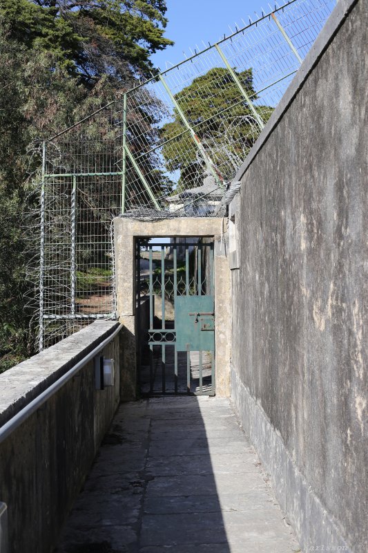 Five days at Lisbon in Portugal, Tram elevator, Aqueaduct Livres, Aquarium, Going home, 2018