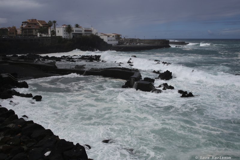 One week at Tenerife, Puerto de la Cruz