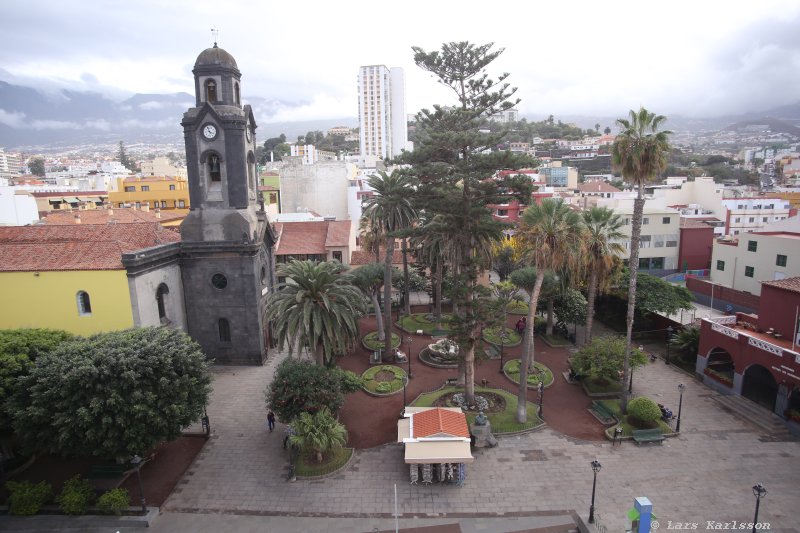 One week at Tenerife, Puerto de la Cruz