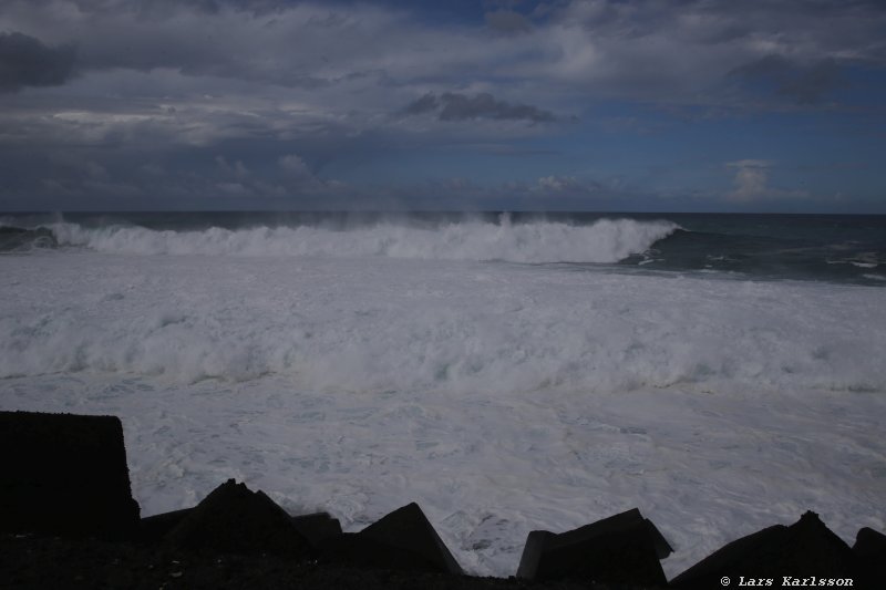 One week at Tenerife, Puerto de la Cruz