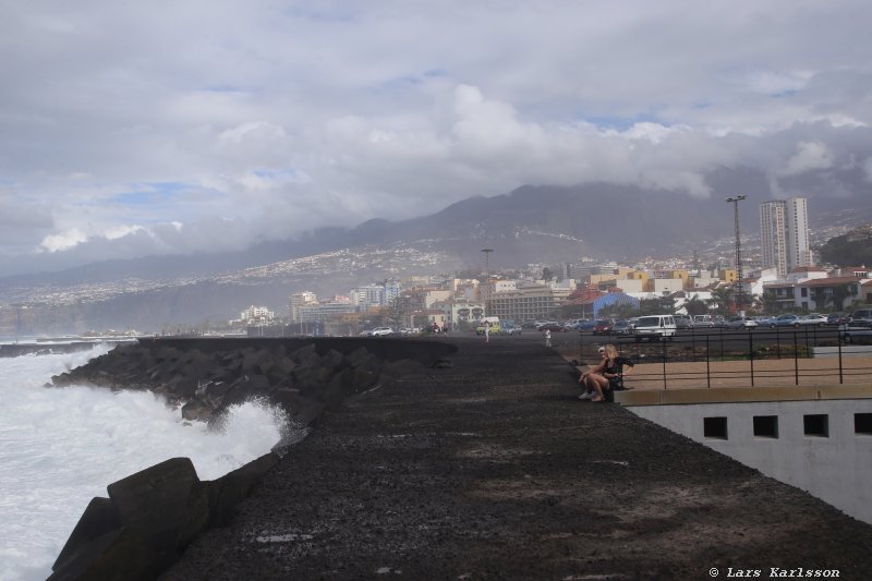 One week at Tenerife, Puerto de la Cruz