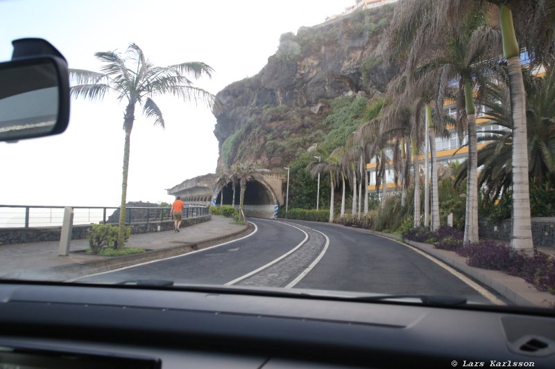 One week at Tenerife, from North to South, Teide - Garachico - Masca - Marazul - Adeje