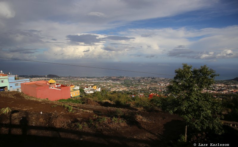 One week at Tenerife, from North to South, Teide - Garachico - Masca - Marazul - Adeje