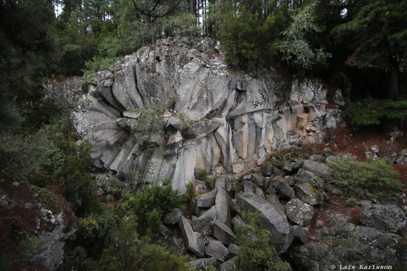 One week at Tenerife, from North to South, Teide - Garachico - Masca - Marazul - Adeje