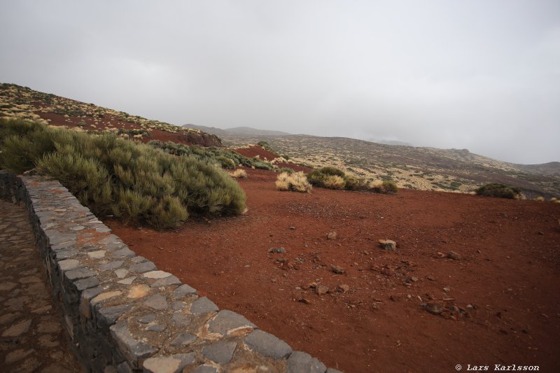 One week at Tenerife, from North to South, Teide - Garachico - Masca - Marazul - Adeje