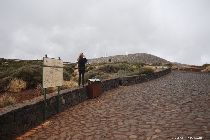 One week at Tenerife, from North to South, Teide - Garachico - Masca - Marazul - Adeje