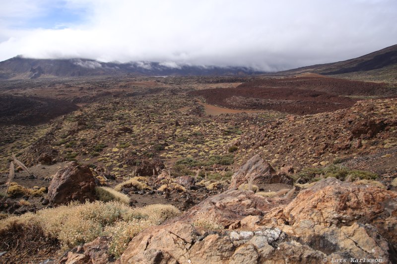 One week at Tenerife, from North to South, Teide - Garachico - Masca - Marazul - Adeje