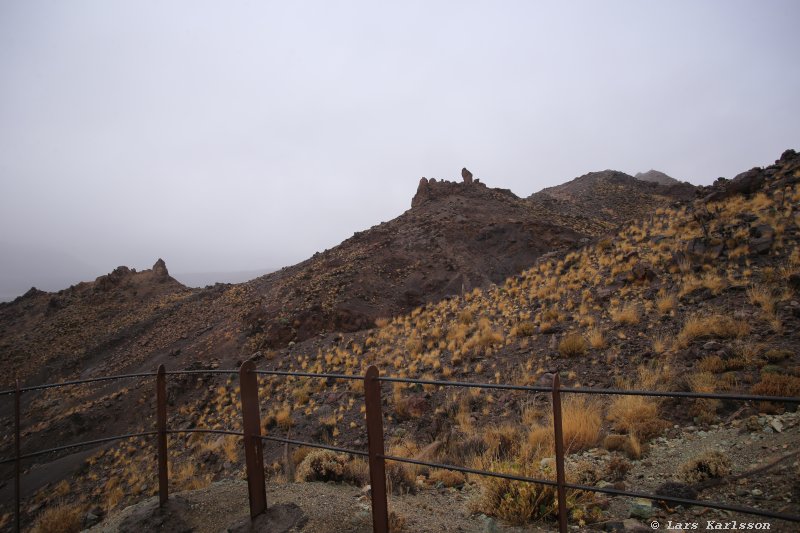 One week at Tenerife, from North to South, Teide - Garachico - Masca - Marazul - Adeje