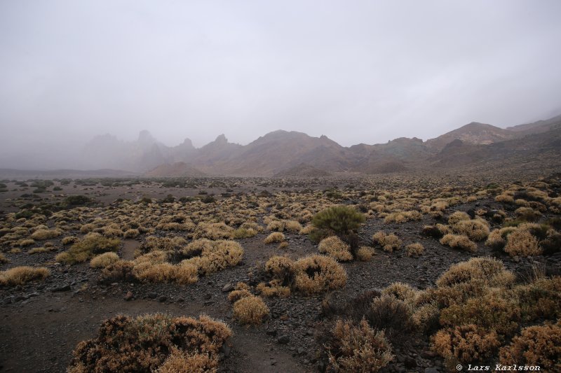 One week at Tenerife, from North to South, Teide - Garachico - Masca - Marazul - Adeje