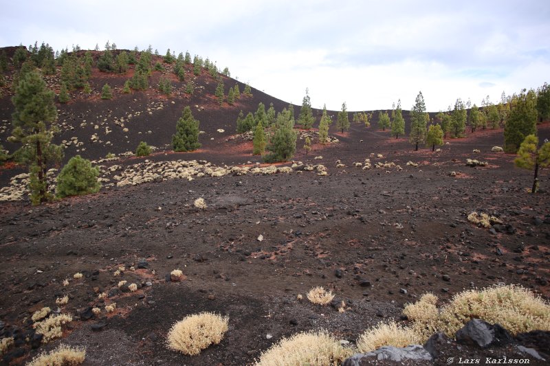 One week at Tenerife, from North to South, Teide - Garachico - Masca - Marazul - Adeje