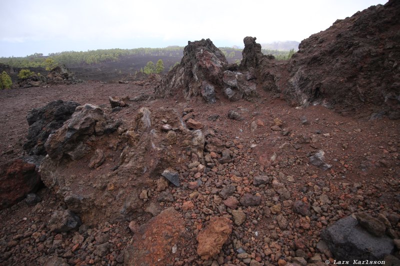 One week at Tenerife, from North to South, Teide - Garachico - Masca - Marazul - Adeje