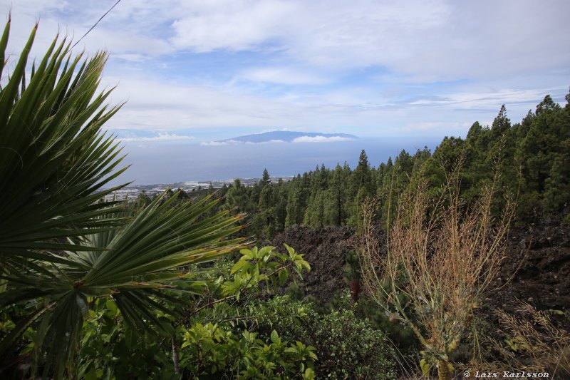 One week at Tenerife, from North to South, Teide - Garachico - Masca - Marazul - Adeje