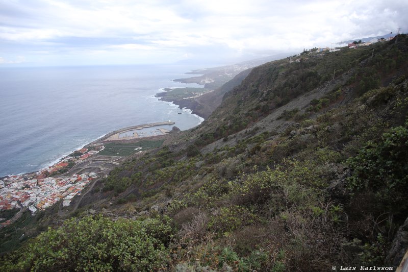 One week at Tenerife, from North to South, Teide - Garachico - Masca - Marazul - Adeje