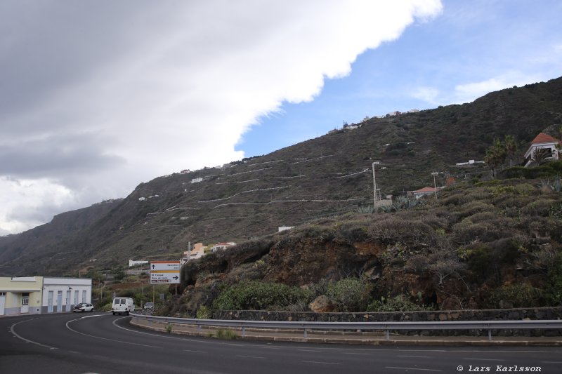 One week at Tenerife, from North to South, Teide - Garachico - Masca - Marazul - Adeje