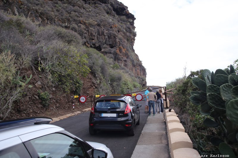 One week at Tenerife, from North to South, Teide - Garachico - Masca - Marazul - Adeje